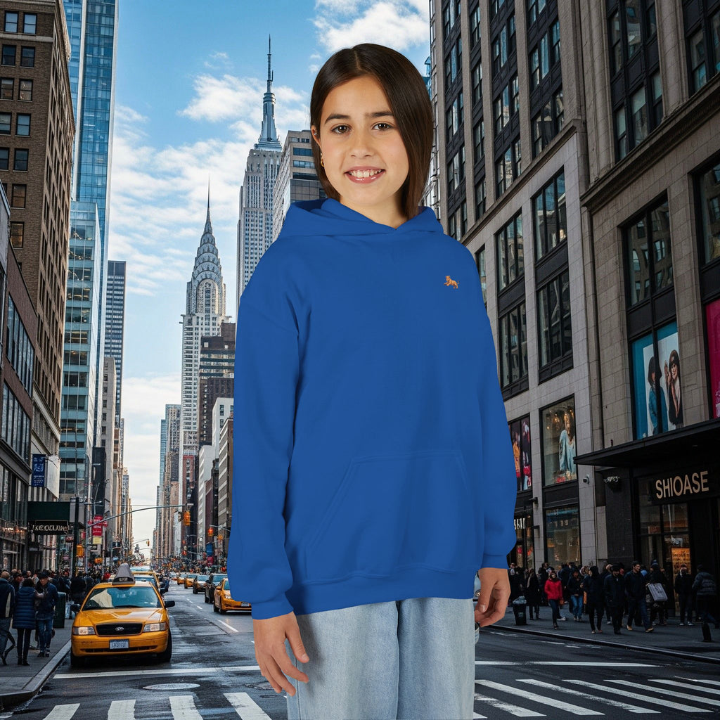Legio Leo’s Youth Hoodie