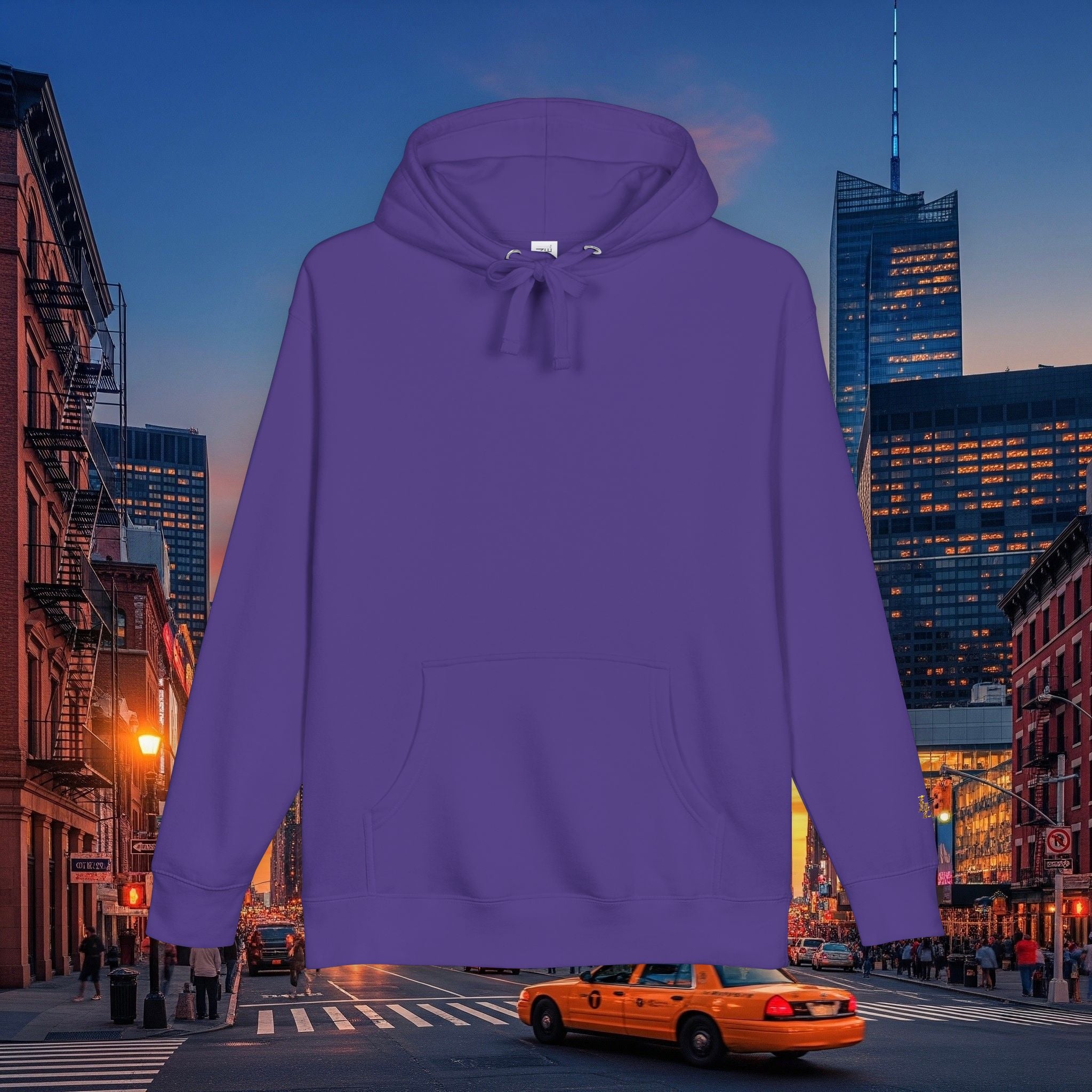 Legio Leo by DZ Royal Cozy Fleece Pullover for Everyday Wear