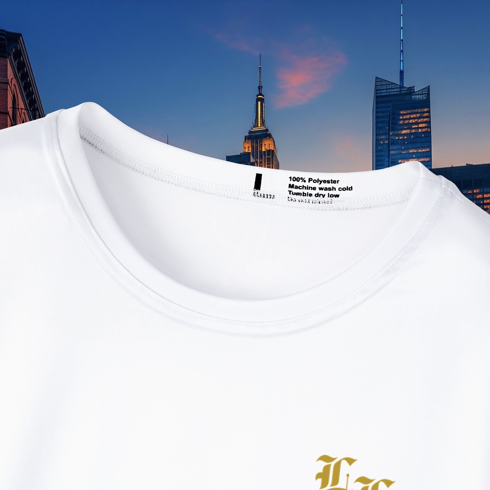 Legio Leo by DZ Royal Men's Sports Jersey