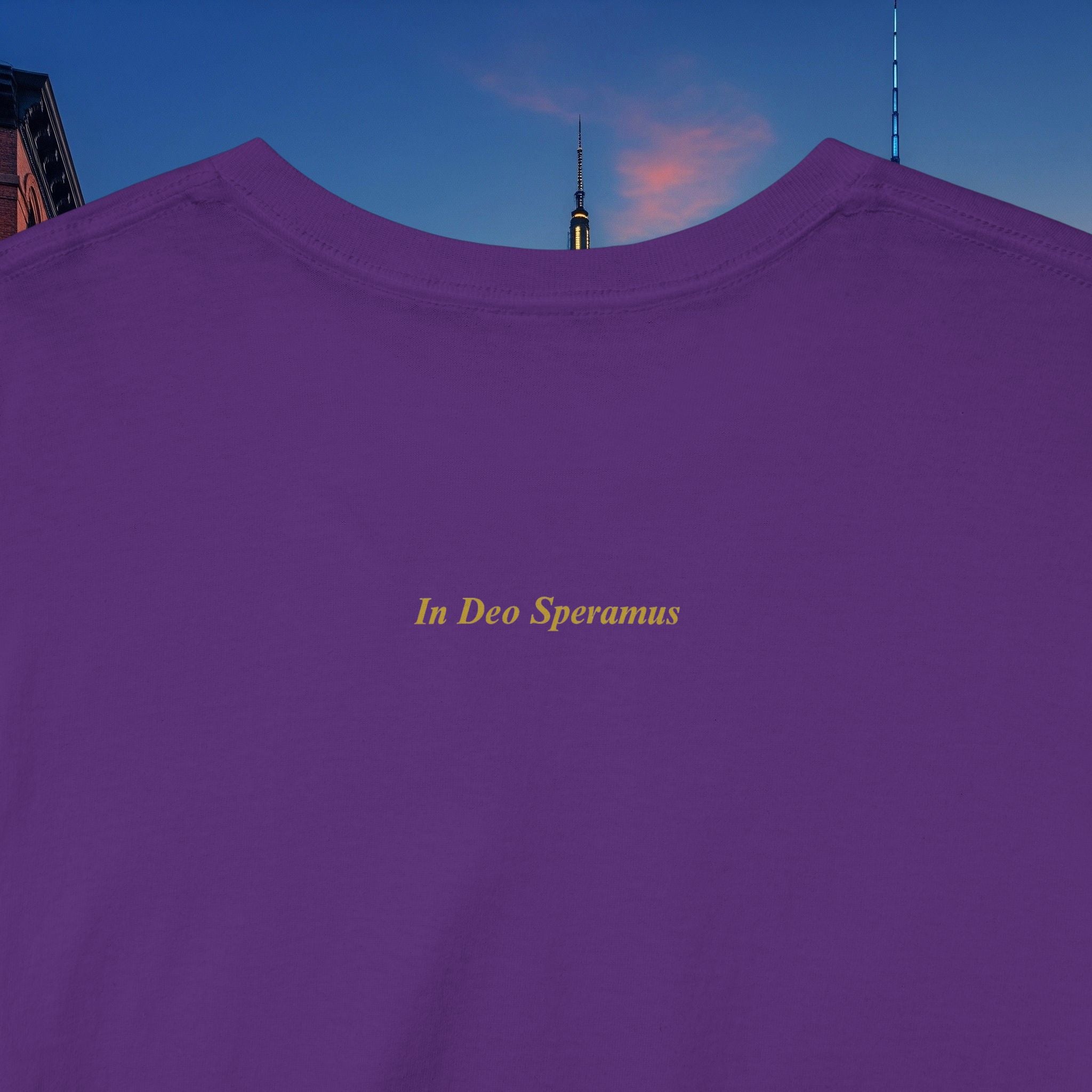 Christmas Holiday Legio Leo by DZ Royal Casual Cotton Tee