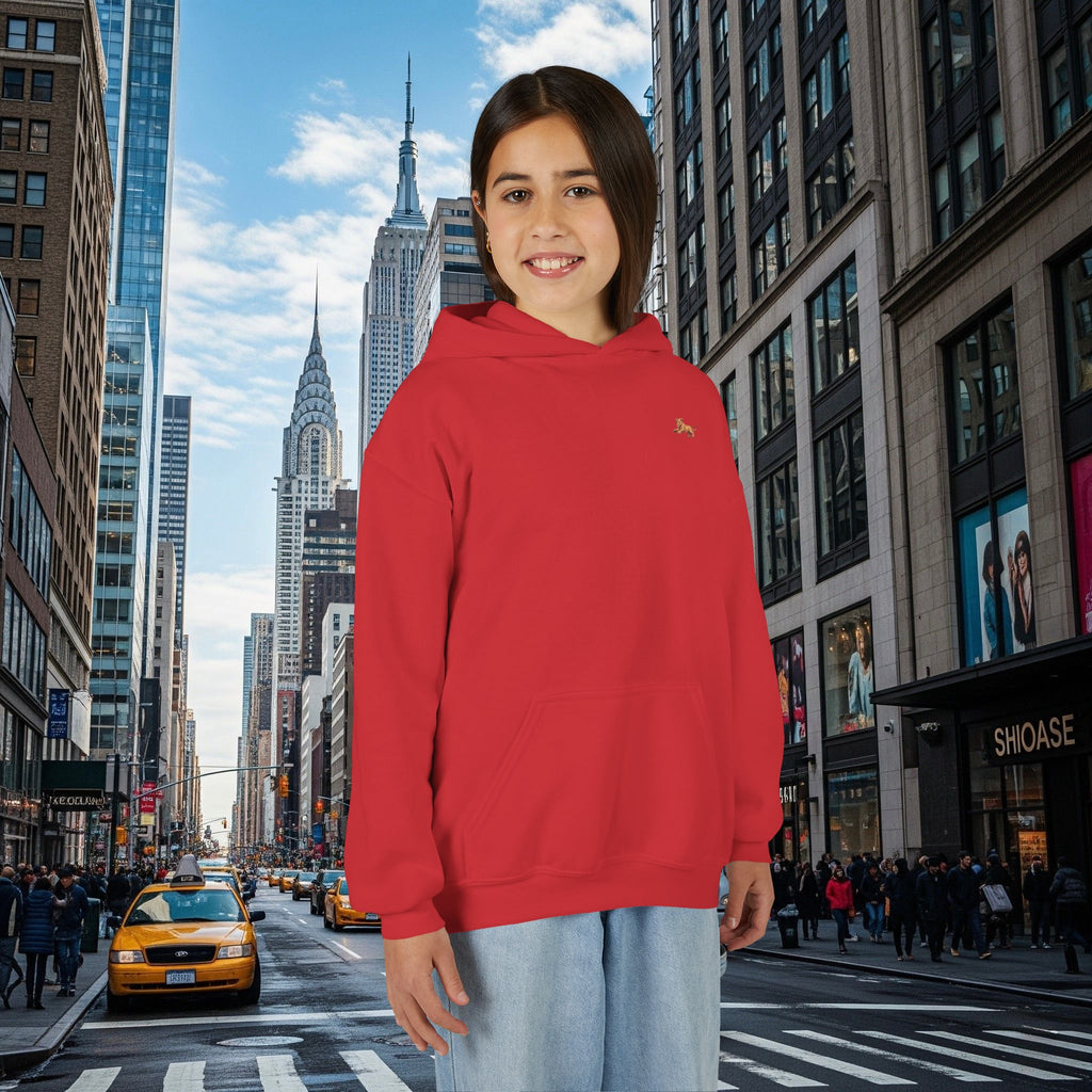 Legio Leo’s Youth Hoodie