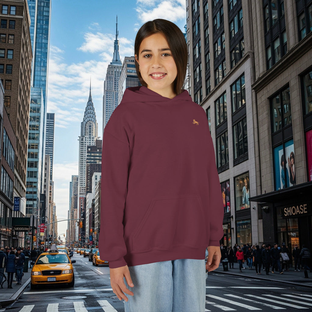 Legio Leo’s Youth Hoodie
