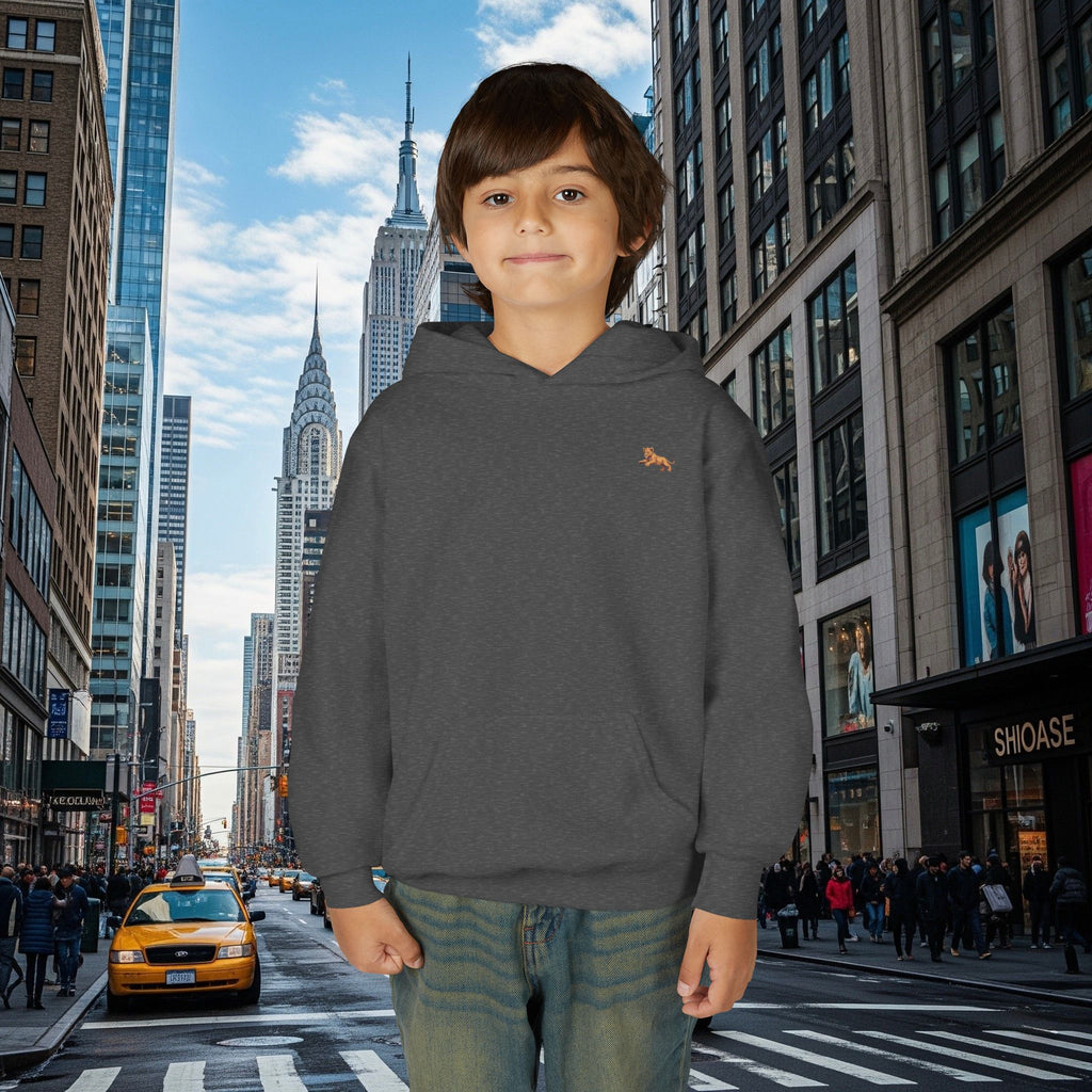 Legio Leo’s Youth Hoodie