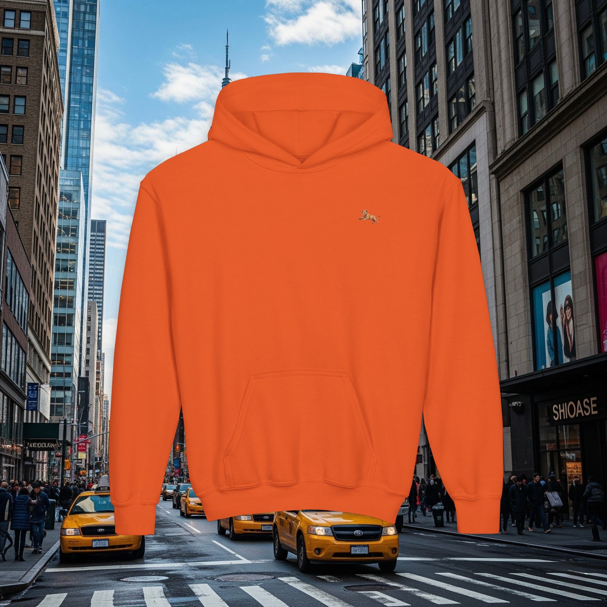 Legio Leo’s Youth Hoodie