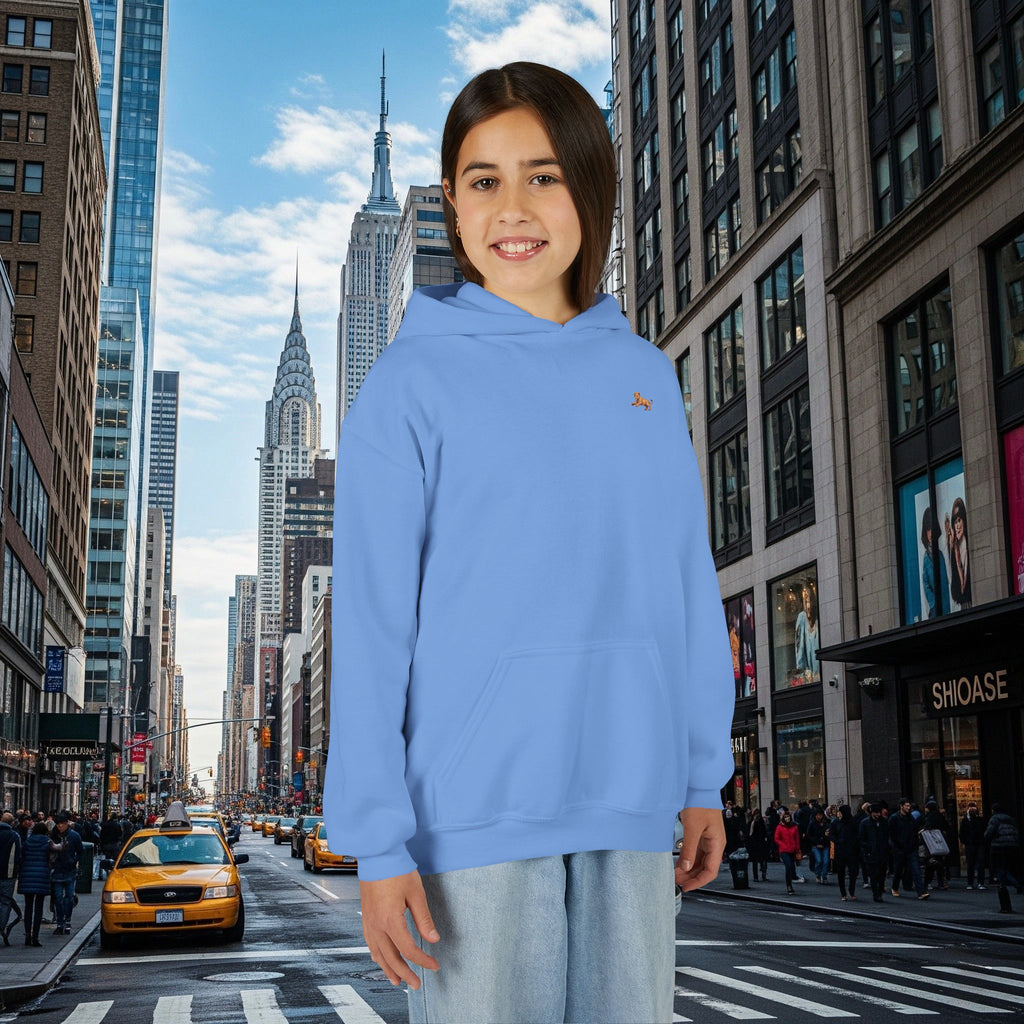 Legio Leo’s Youth Hoodie