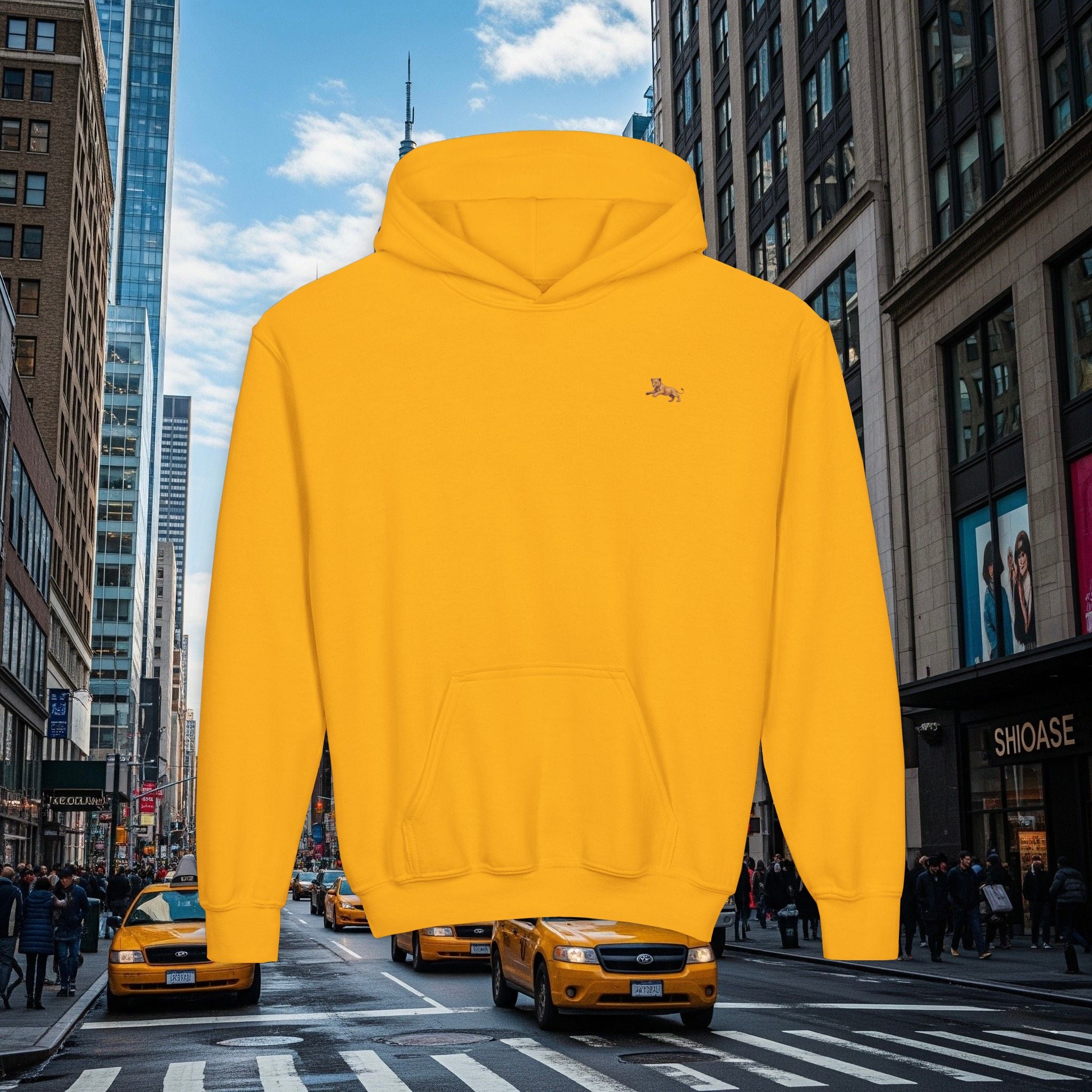 Legio Leo’s Youth Hoodie